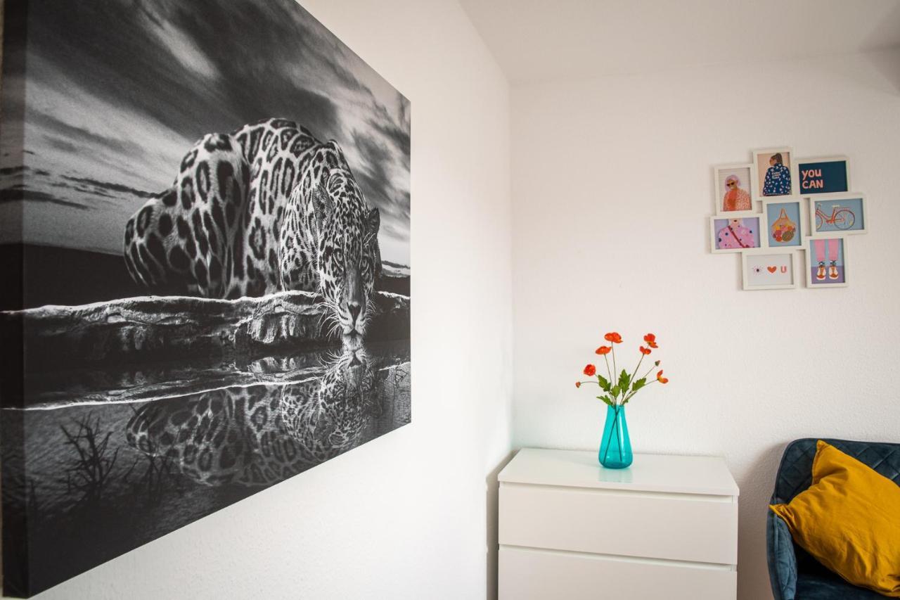 Blue Chili 19 Schoene Dachterasse Zentral Modern Bis 4 Pers Apartment Magdeburg