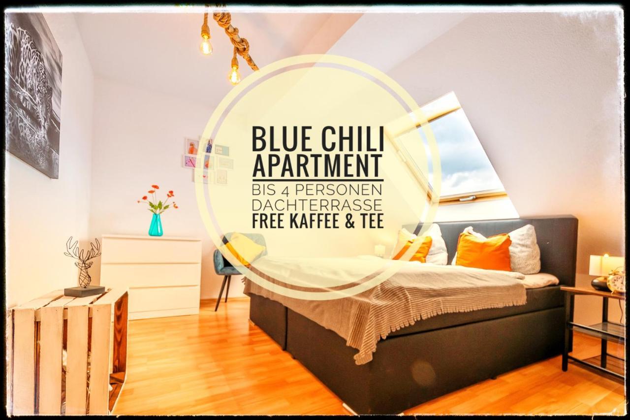 Blue Chili 19 Schoene Dachterasse Zentral Modern Bis 4 Pers Apartment